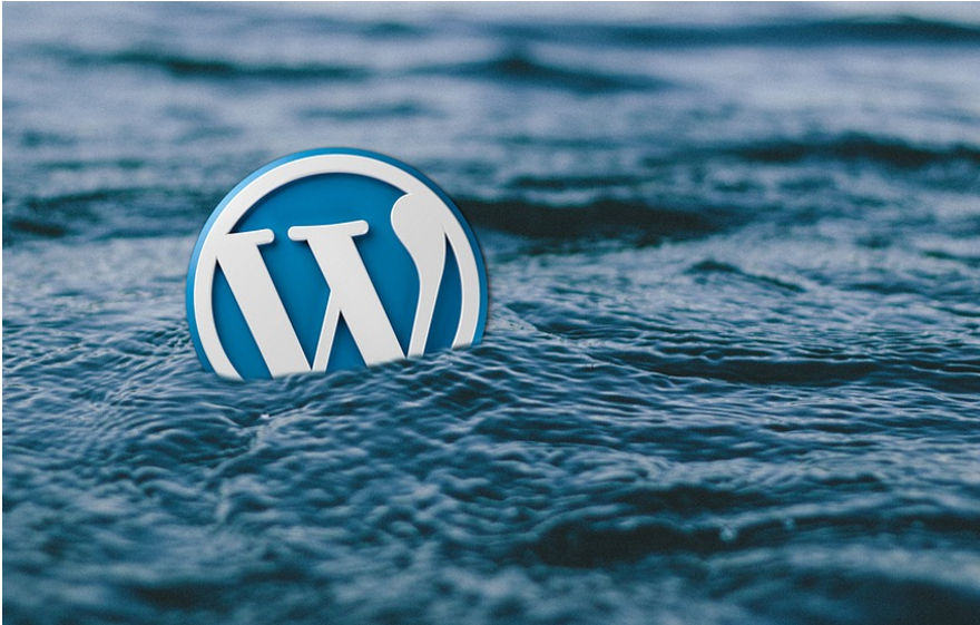 logo wordpress na wodzie